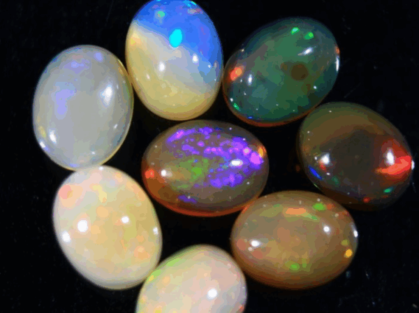 Opals, Vivid Multi-Color Flashes – 11.2 Carats, 8 Cabochons - Image 2