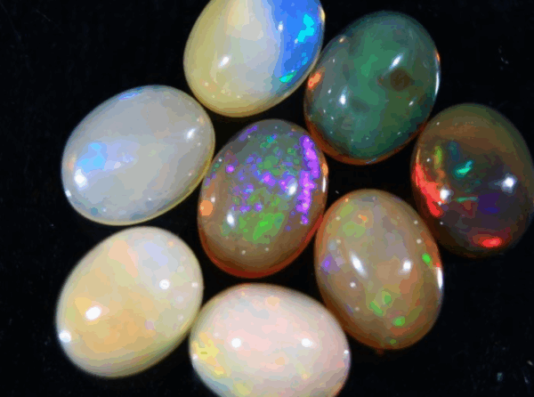 Opals, Vivid Multi-Color Flashes – 11.2 Carats, 8 Cabochons - Image 3