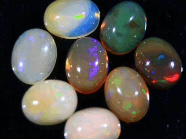 Opals, Vivid Multi-Color Flashes – 11.2 Carats, 8 Cabochons - Image 4