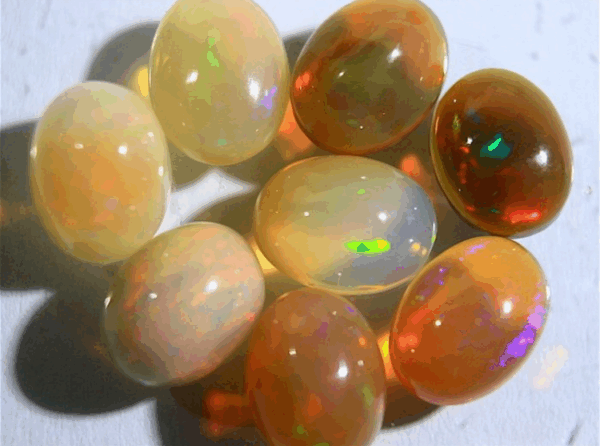 Opals, Vivid Multi-Color Flashes – 11.2 Carats, 8 Cabochons - Image 5