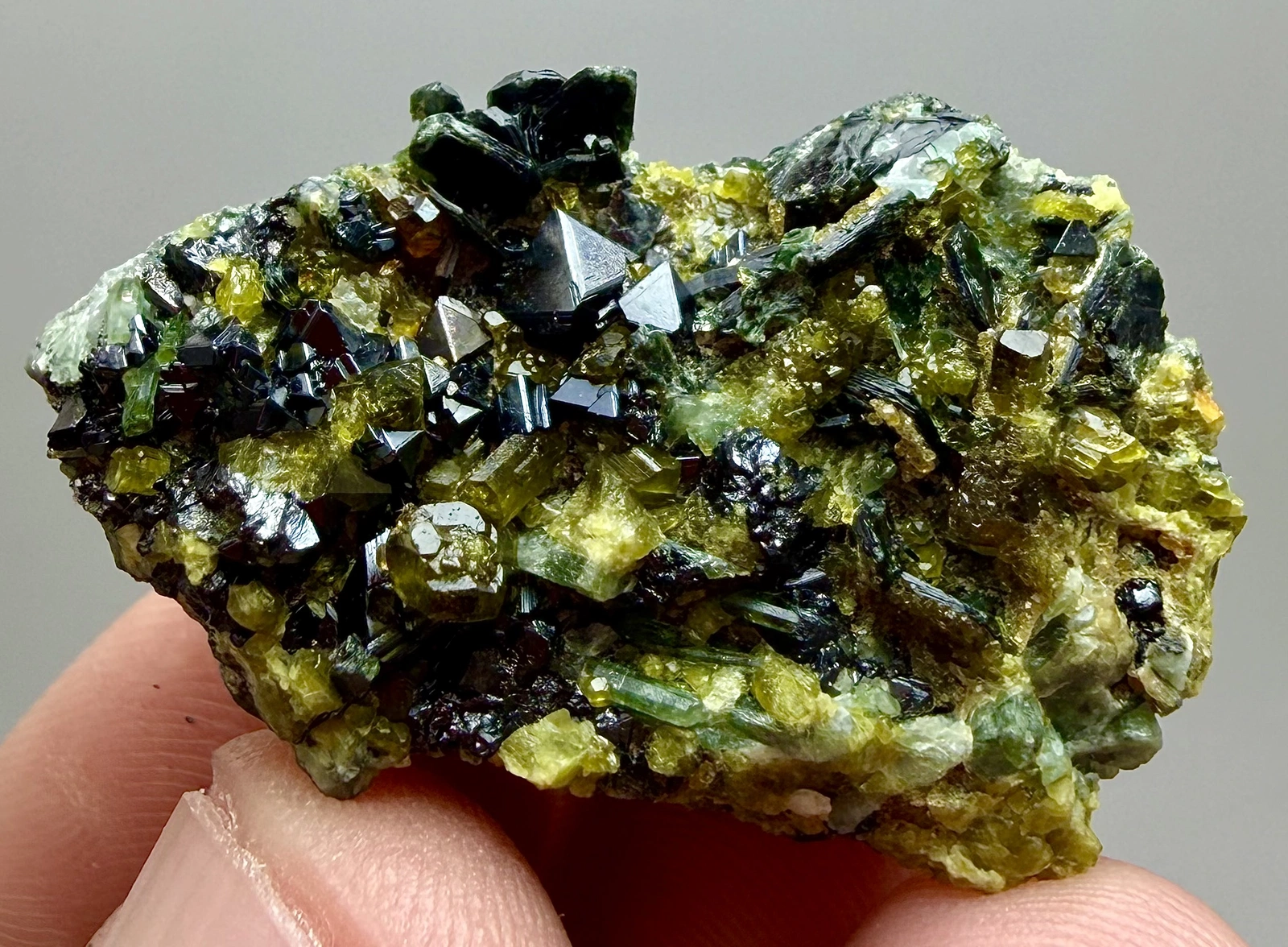 Magnetite Crystals on Vesuvianite & Diopside Matrix - Image 4