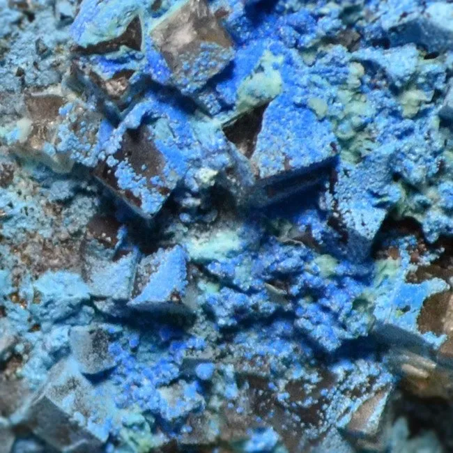 Cyanotrichite Crystal, Sky-Blue Tufts on Matrix – 12 × 4.5 × 3 cm - Image 2