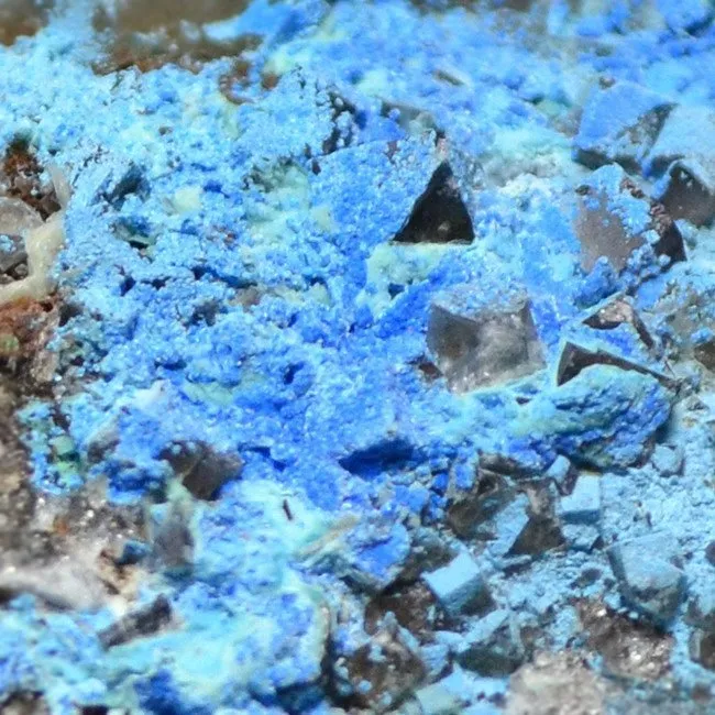Cyanotrichite Crystal, Sky-Blue Tufts on Matrix – 12 × 4.5 × 3 cm - Image 4