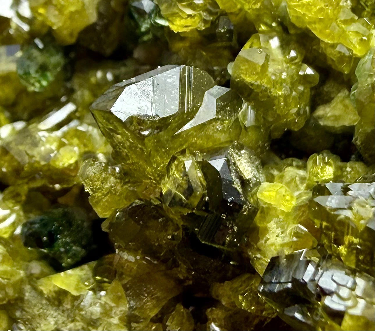 Vesuvianite Crystal on Matrix – Rare Crystal Formation - Image 2