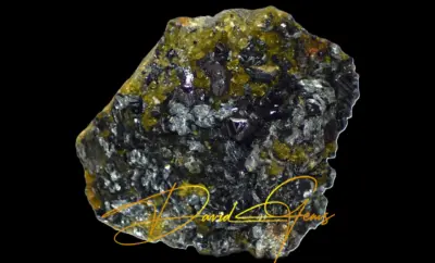 Magnetite Crystals on a Vesuvianite & Clinochlore Matrix