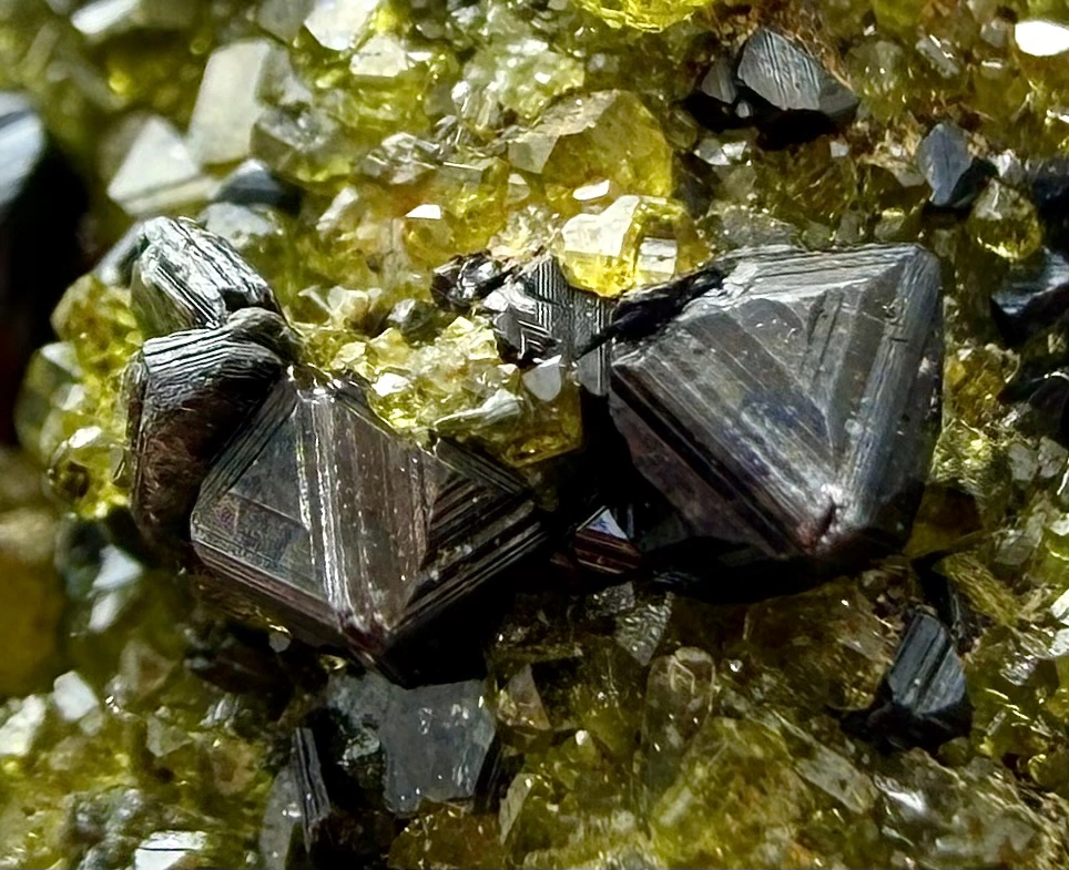 Magnetite Crystals with Vesuvianite and Diopside - Image 2
