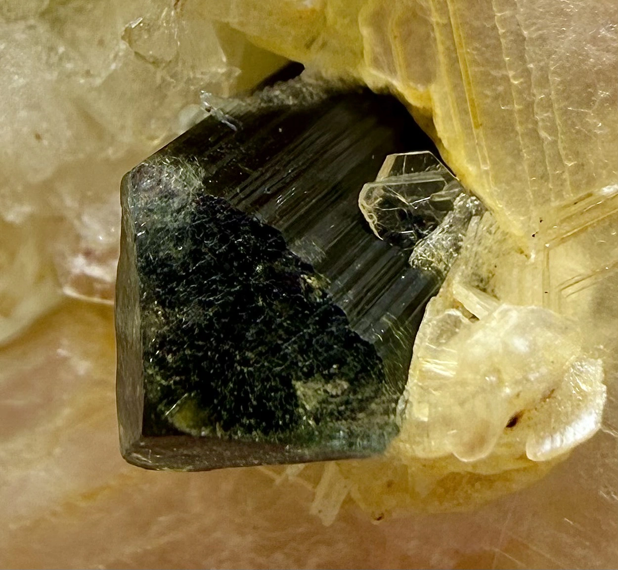 Tourmaline Crystal Specimen with Albite and Muscovite - 41 g - Image 2