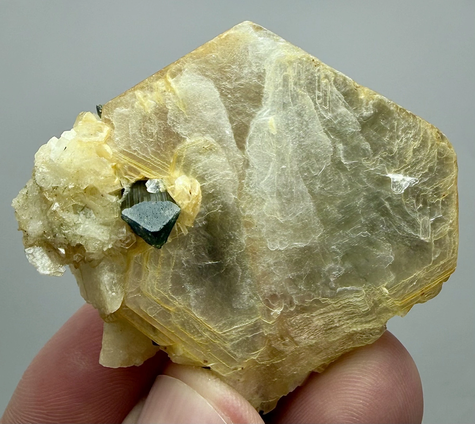 Tourmaline Crystal Specimen with Albite and Muscovite - 41 g - Image 5