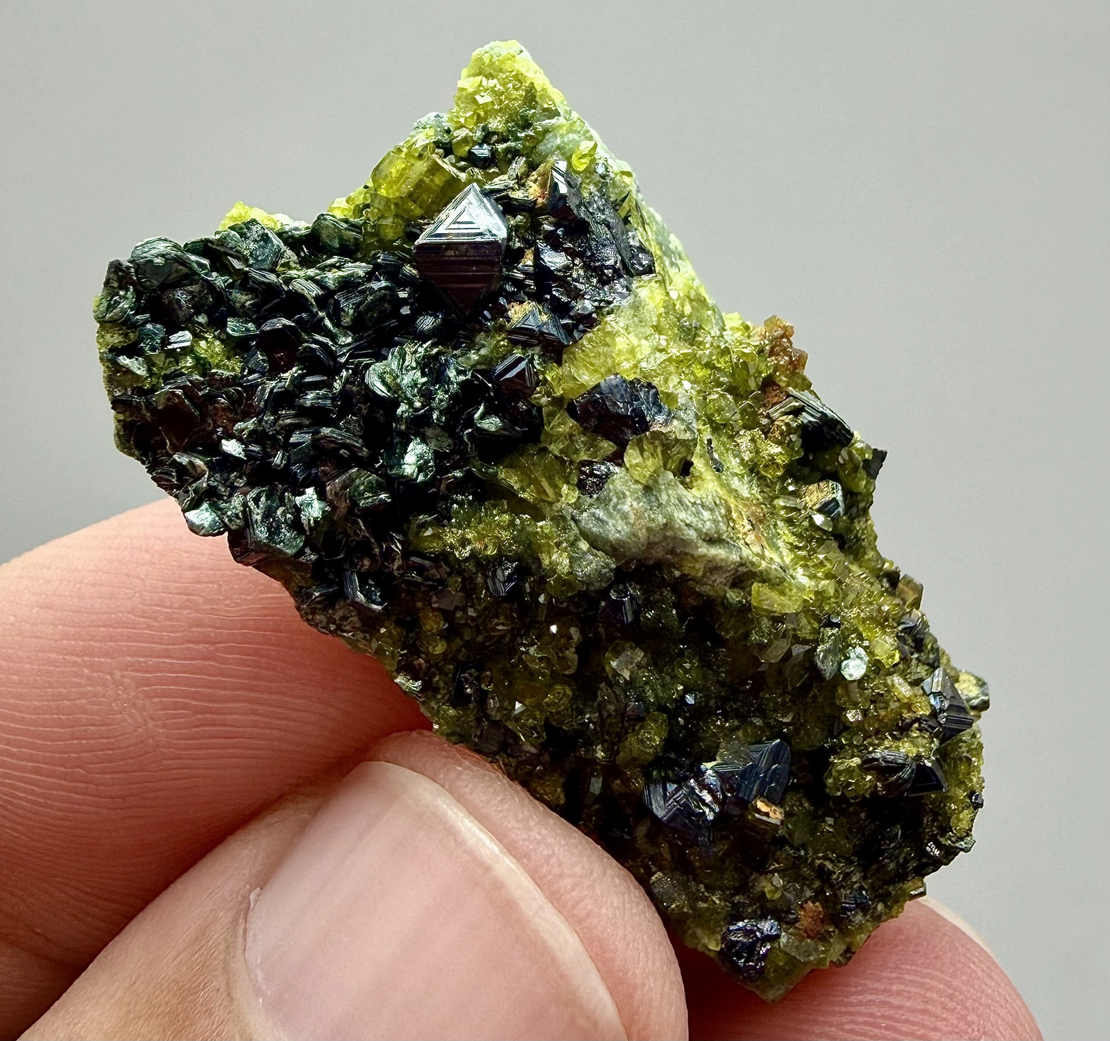 Magnetite Crystals with Vesuvianite and Diopside - Image 4