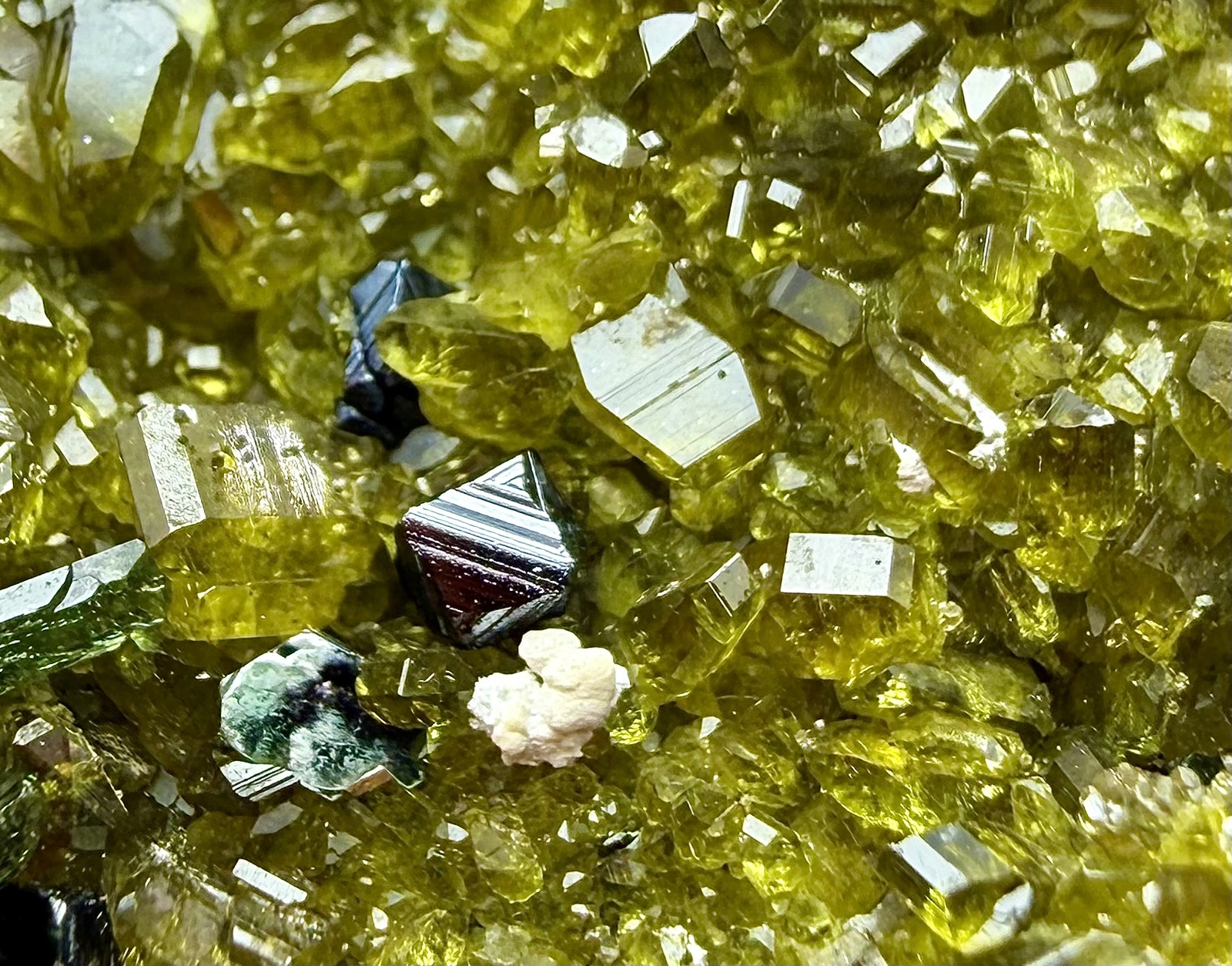 Vesuvianite Crystal – Association with Magnetite & Diopside - Image 3