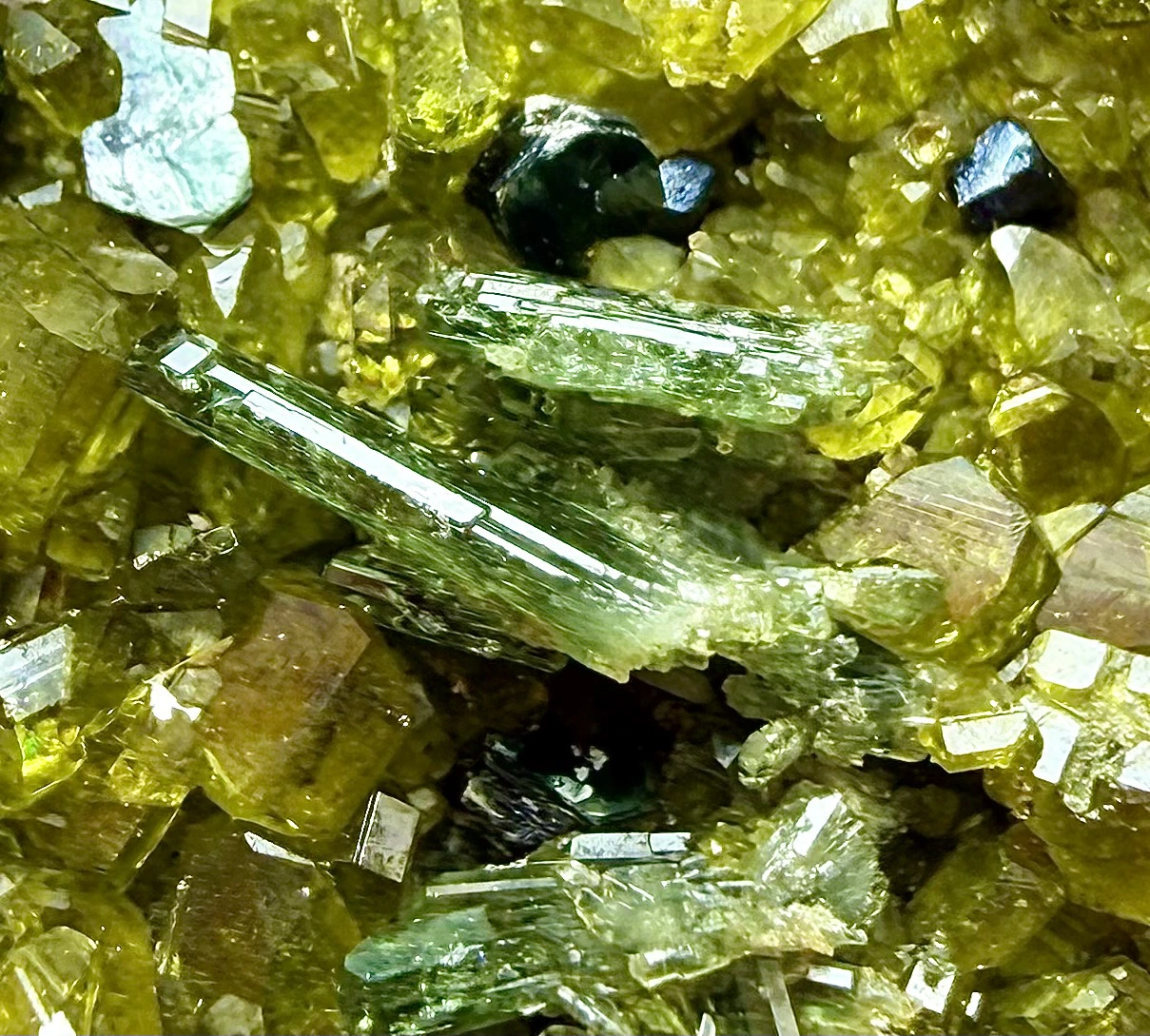 Vesuvianite Crystal – Association with Magnetite & Diopside - Image 4