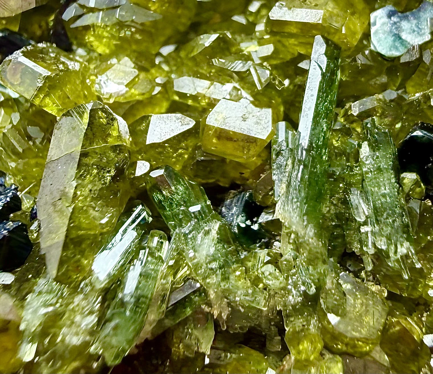 Vesuvianite Crystal – Association with Magnetite & Diopside - Image 5